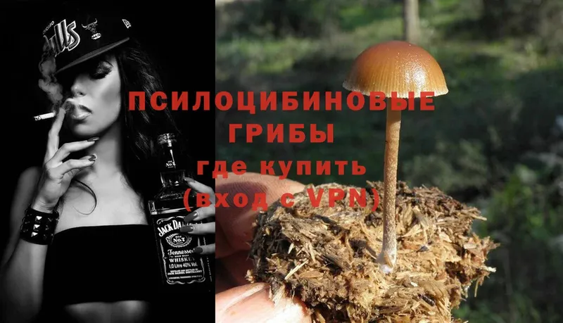 mega зеркало  Киренск  Псилоцибиновые грибы MAGIC MUSHROOMS 